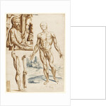 Écorché with Portrait of Andreas Vesalius, 1545 by Anonymous