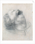 Head of a screaming child, ca 1515-1520 by Anonymous