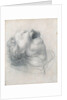 Head of a screaming child, ca 1515-1520 by Anonymous