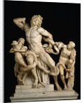 Laocoön and his sons (The Laocoön Group), 1st century BC by Anonymous