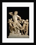 Laocoön and his sons (The Laocoön Group), 1st century BC by Anonymous