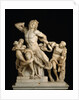 Laocoön and his sons (The Laocoön Group), 1st century BC by Anonymous