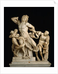 Laocoön and his sons (The Laocoön Group), 1st century BC by Anonymous