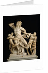 Laocoön and his sons (The Laocoön Group), 1st century BC by Anonymous