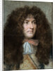Louis XIV, King of France, 1667 by Anonymous