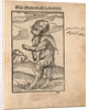 Monk Calf of Freiberg (Das Mönchskalb zu Freiberg), 1523 by Anonymous