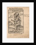 Monk Calf of Freiberg (Das Mönchskalb zu Freiberg), 1523 by Anonymous
