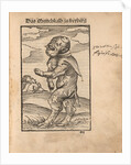 Monk Calf of Freiberg (Das Mönchskalb zu Freiberg), 1523 by Anonymous