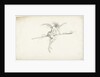 Monstrous witch on a broom, Mid of 17th cen by Anonymous