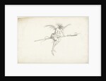 Monstrous witch on a broom, Mid of 17th cen by Anonymous