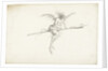 Monstrous witch on a broom, Mid of 17th cen by Anonymous