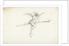 Monstrous witch on a broom, Mid of 17th cen by Anonymous