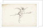 Monstrous witch on a broom, Mid of 17th cen by Anonymous