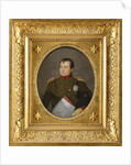 Napoleon I in his uniform of the Chasseurs à cheval de la Garde, 1811 by Anonymous