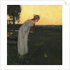 Once upon a time, 1891 by Anonymous