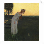 Once upon a time, 1891 by Anonymous