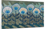 Peacock pattern, 1909 by Anonymous