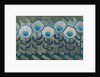Peacock pattern, 1909 by Anonymous