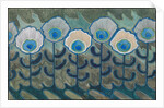Peacock pattern, 1909 by Anonymous