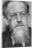 Peter (Pyotr Berngardovich) Struve, 1920s by Anonymous