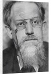 Peter (Pyotr Berngardovich) Struve, 1920s by Anonymous