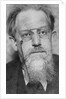 Peter (Pyotr Berngardovich) Struve, 1920s by Anonymous