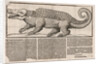 Popular print with representation of a Crocodile, 1563 by Anonymous