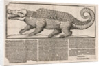 Popular print with representation of a Crocodile, 1563 by Anonymous