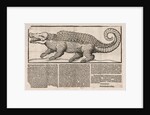 Popular print with representation of a Crocodile, 1563 by Anonymous