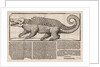 Popular print with representation of a Crocodile, 1563 by Anonymous