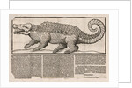 Popular print with representation of a Crocodile, 1563 by Anonymous