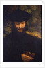 Portrait of a reading man, ca 1522 by Anonymous