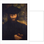 Portrait of a reading man, ca 1522 by Anonymous