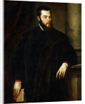 Portrait of Benedetto Varchi, c.1540 by Anonymous