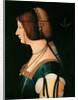 Portrait of Bianca Maria Sforza, Between 1475 and 1500 by Anonymous