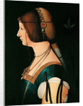 Portrait of Bianca Maria Sforza, Between 1475 and 1500 by Anonymous