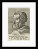 Portrait of Cornelius Grapheus, 1572 by Anonymous