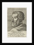 Portrait of Cornelius Grapheus, 1572 by Anonymous