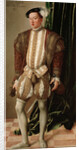 Portrait of Ferdinand II, Archduke of Austria, 1548 by Anonymous