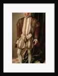 Portrait of Ferdinand II, Archduke of Austria, 1548 by Anonymous
