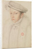 Portrait of Francis II of France, 1560 by Anonymous