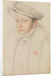 Portrait of Francis II of France, 1560 by Anonymous