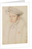 Portrait of Francis II of France, 1560 by Anonymous
