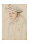 Portrait of Francis II of France, 1560 by Anonymous