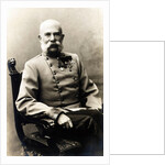 Portrait of Franz Joseph I of Austria, 1900s by Anonymous