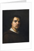 Portrait of Honoré de Balzac, First half of the 19th cent by Anonymous