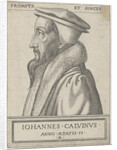 Portrait of John Calvin, 1562 by Anonymous