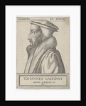 Portrait of John Calvin, 1562 by Anonymous