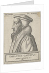 Portrait of John Calvin, 1562 by Anonymous
