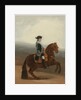 Portrait of Manuel de Godoy, 1794 by Anonymous